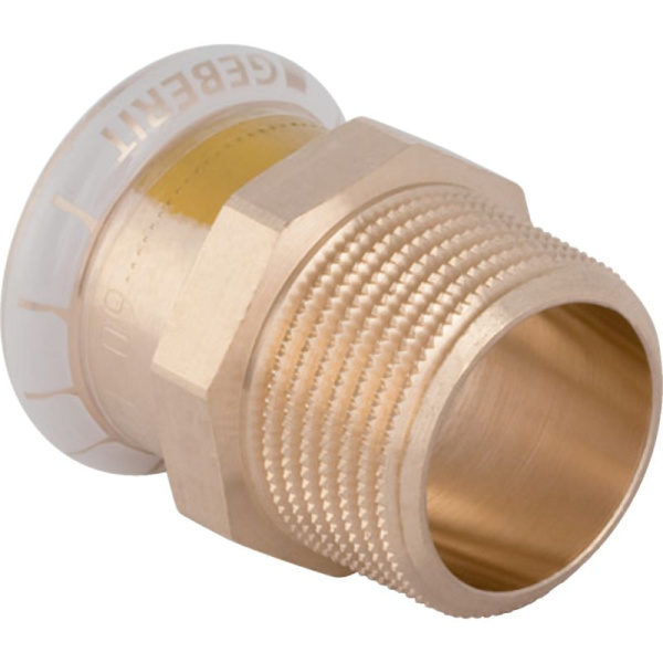 image-bbd209f5.jpg