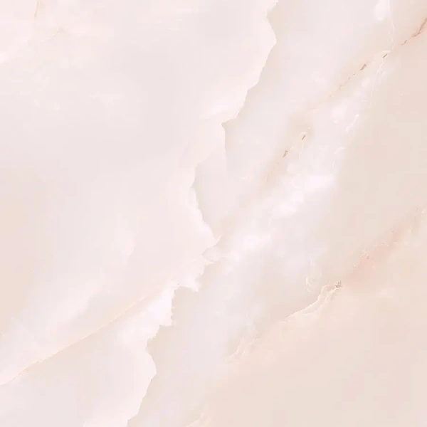 04_1926223.webp
